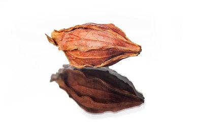 《辐射》电视剧里的尸鬼将在《辐射76》游戏中出现